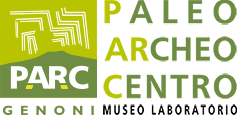 Museo PARC logo